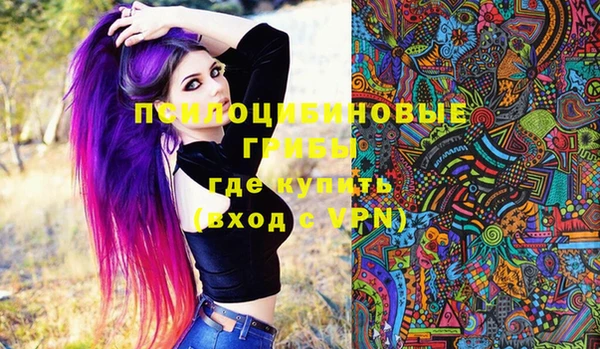 винт Арсеньев