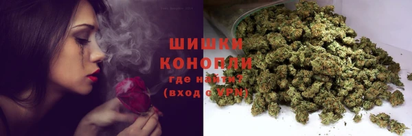 гашик Майский