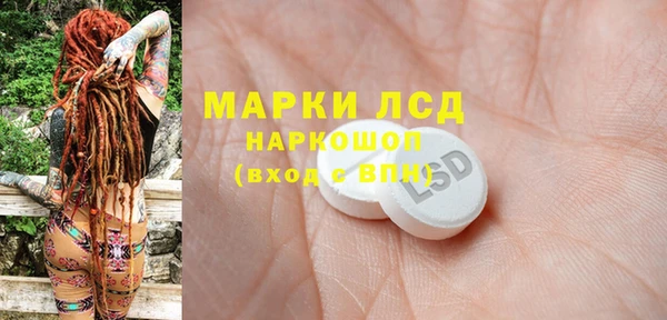 гашик Майский