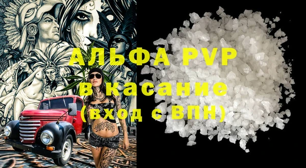 гашик Майский